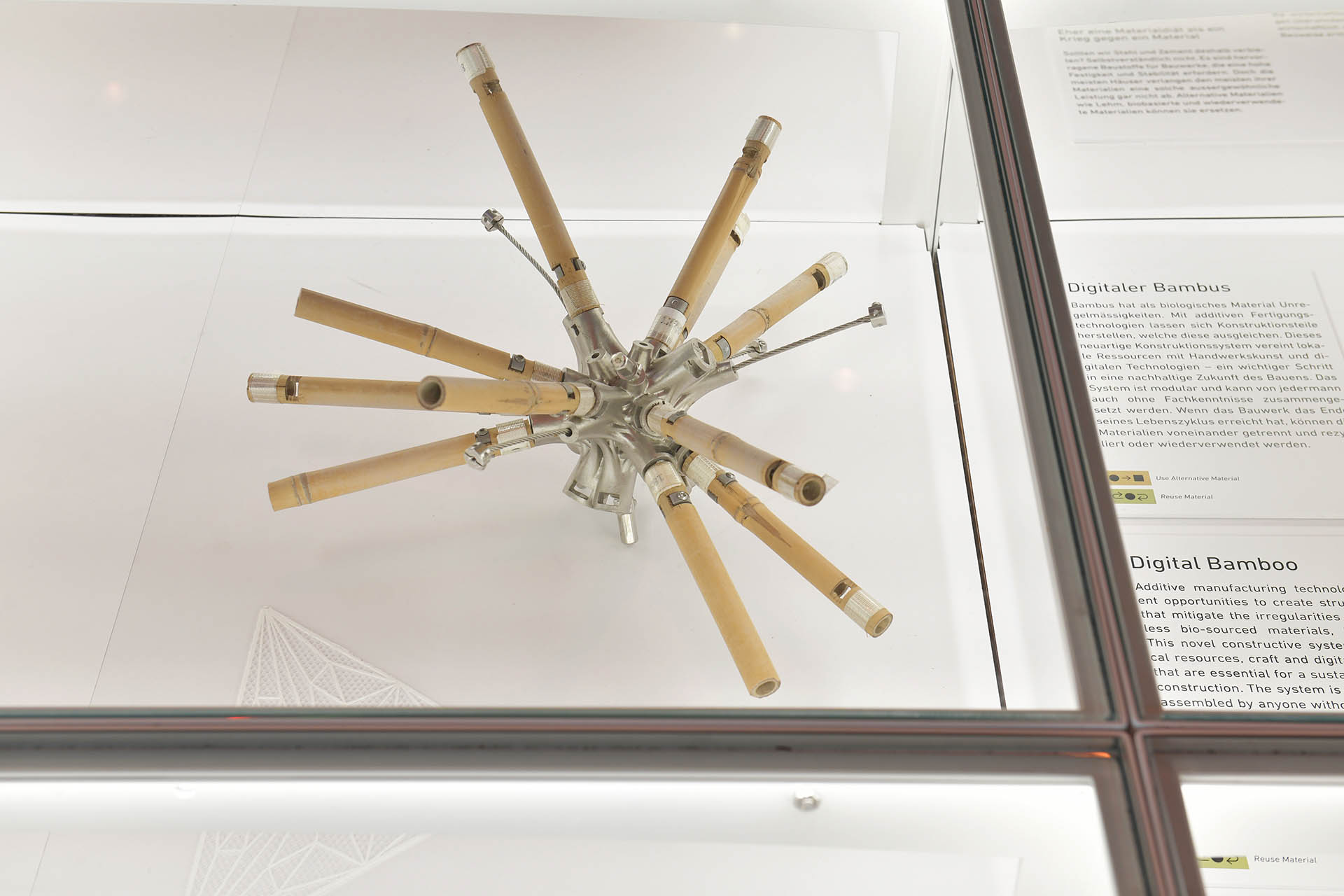 Image of a digital bamboo